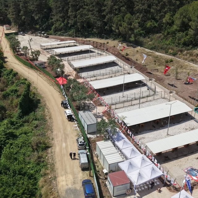 Bursa Hayvan Hakları Platformu'ndan Gemlik Belediyesi'ne tepki: "Kapıları a...