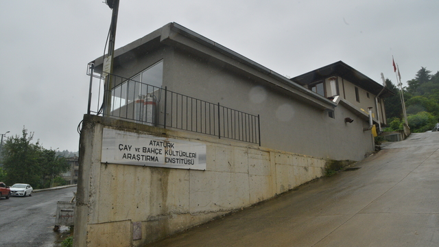 Galeri