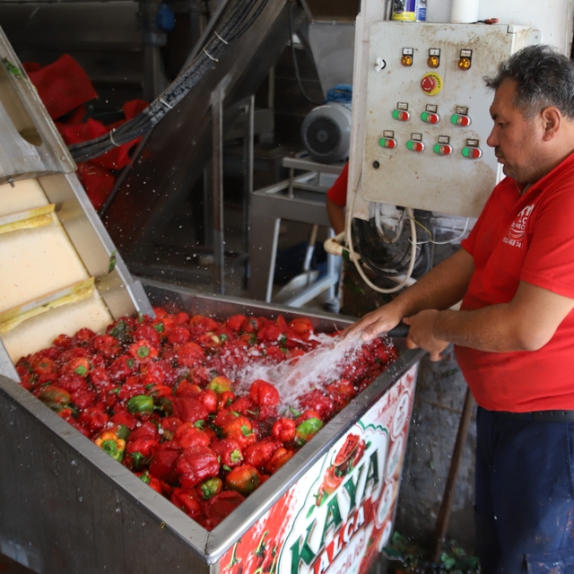 Gaziantep'te kışlık salça mesaisi başladı
Kadın çalışanlar tarafından titiz...
