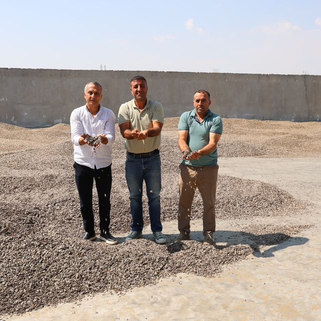 Kahramanmaraş'ta ay çekirdeği hasadı
Dulkadiroğlu ve Narlı bölgelerinde ay...