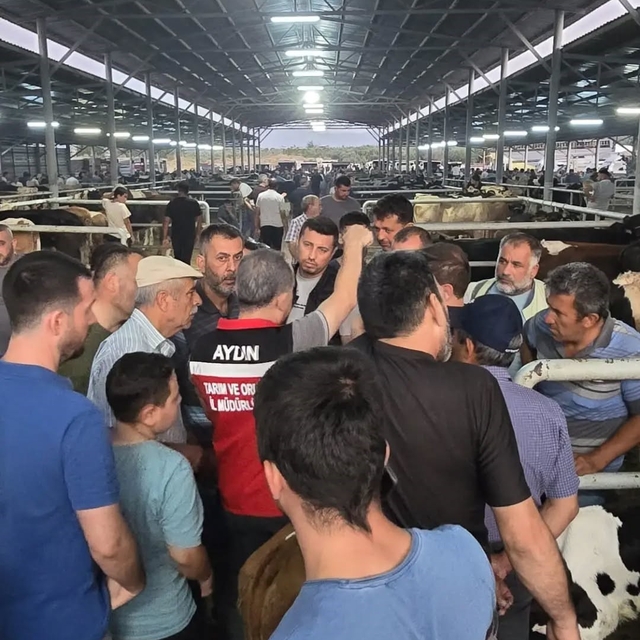 Aydın'da hayvan pazarlarında sıkı denetim
Küpesiz hayvanlara geçit yok