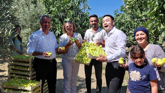 Çinli fenomen çift Aydın incirine hayran kaldı
Dalından koparıp tattılar