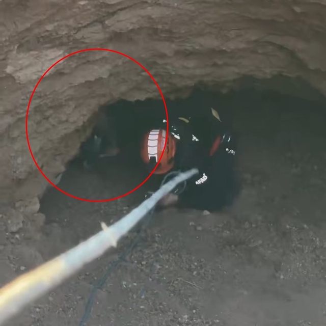 Obrukta mahsur kalan keçiyi AFAD ekipleri kurtardı
