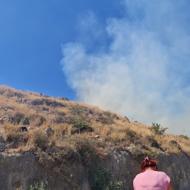 Bodrum'da makilik yangını