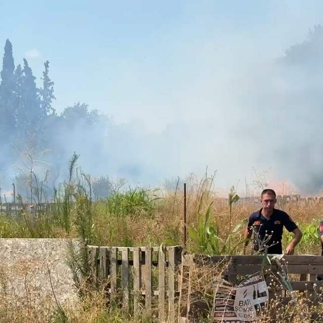 Aydın'da ot yangınında alevler zeytinliğe sıçradı