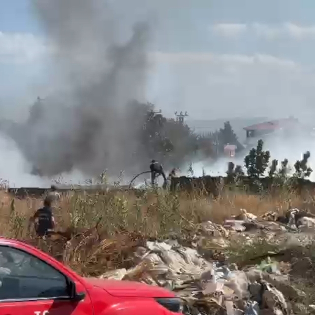 Zeytinlik alanda çıkan yangın korkuttu