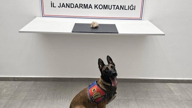Şanlıurfa'da uyuşturucu operasyonu: 1 tutuklama