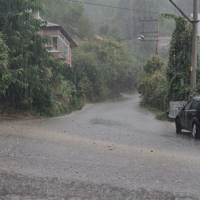 Zonguldak'ta sağanak