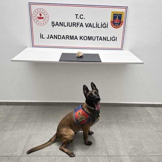 Şanlıurfa'da uyuşturucu operasyonu: 1 tutuklama