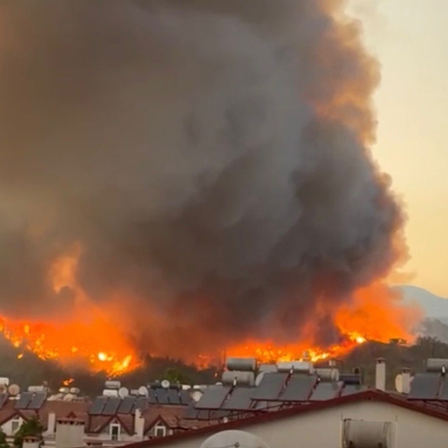 Muğla'da orman yangını