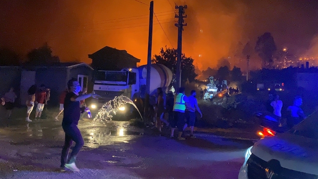Muğla'da orman yangını (2)