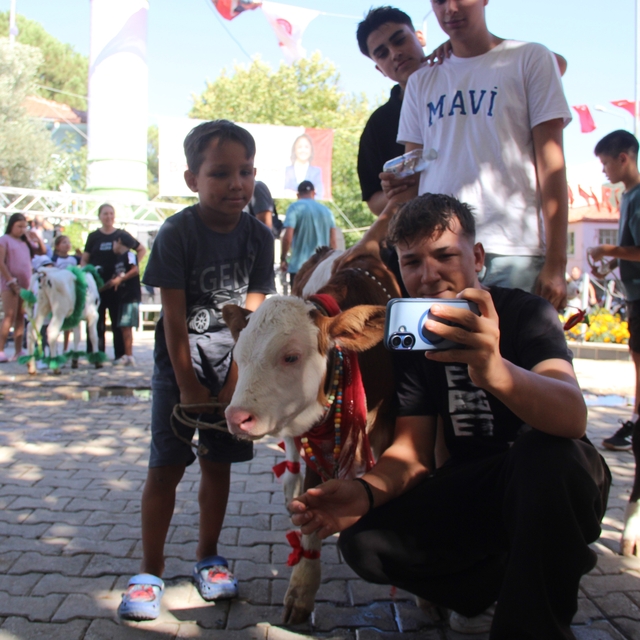 Muğla'da Buzağı Güzellik Yarışması düzenlendi