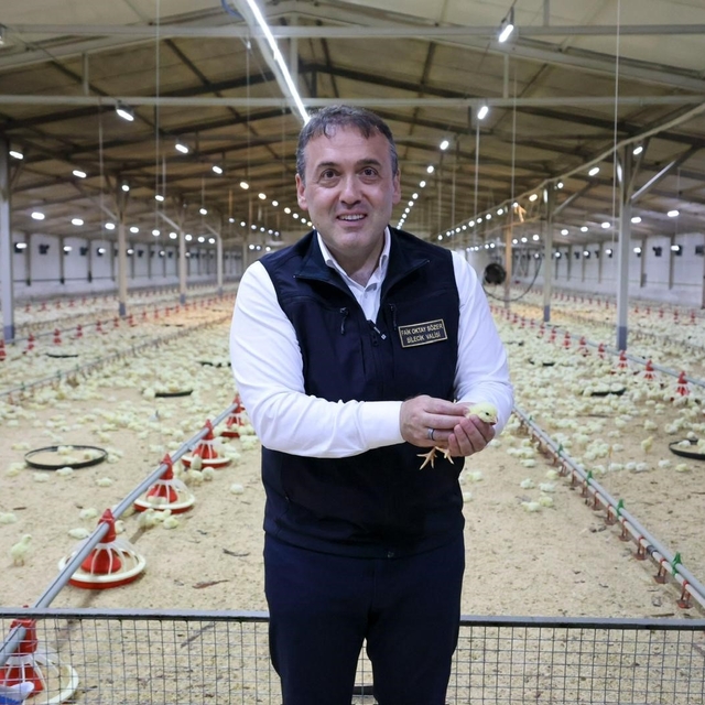 Bilecik 11,5 milyon kanatlı hayvana ev sahipliği yapıyor