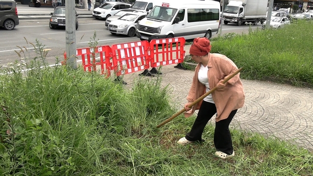 Şehir merkezinde tırpanla geçim mücadelesi
Hayvanları için belediye ekipleriyle yarışıyor