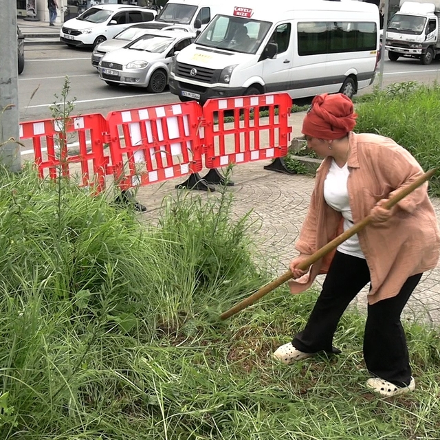 Şehir merkezinde tırpanla geçim mücadelesi
Hayvanları için belediye ekipler...