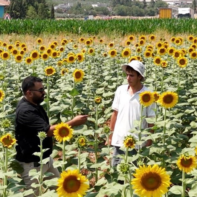 GAP suyuyla birlikte Şanlıurfa'da ürün çeşitliliği zirveye çıktı
Toprak suy...