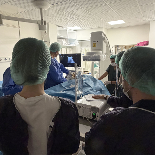 Romanyalı doktorlar, ablasyon yöntemini Türk hekimlerden öğrendi