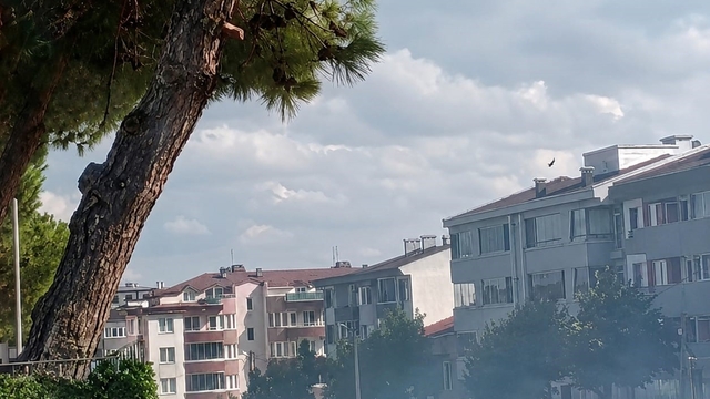 Düğün konvoyundan atılan havai fişek çam ağacını yaktı