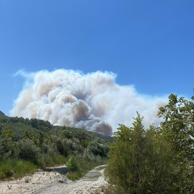 Seydişehir'de tarım arazisinde çıkan yangın, Kaş'ta ormana sıçradı