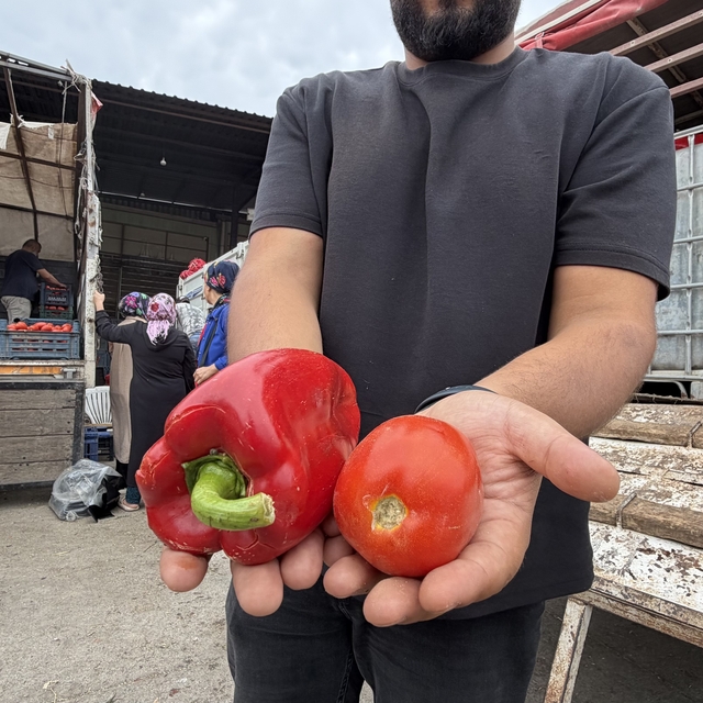 Osmaniyeli kadınların salça ve konserve mesaisi başladı