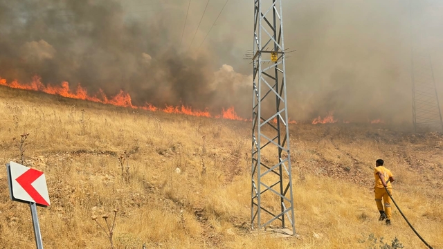 Diyarbakır'da örtü yangını