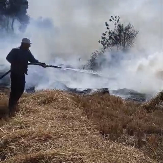 Sazlıkta başlayan yangın ormana sıçradı