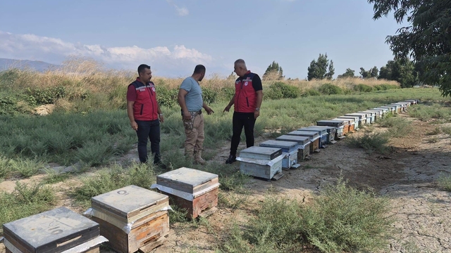 Antakya'da arıcılar bal sağımını sürdürüyor