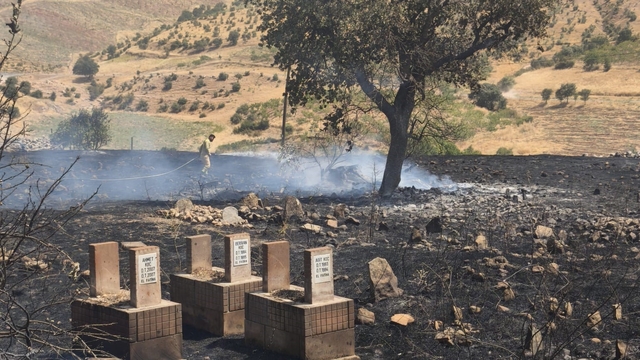 Siirt'te 5 ayrı noktada yangın alarmı: 4 bölgede söndürüldü, Çamtaşı'nda müdahale sürüyor
