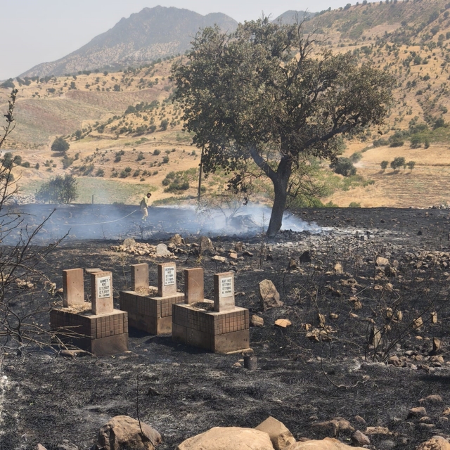 Siirt'te 5 ayrı noktada yangın alarmı: 4 bölgede söndürüldü, Çamtaşı'nda mü...