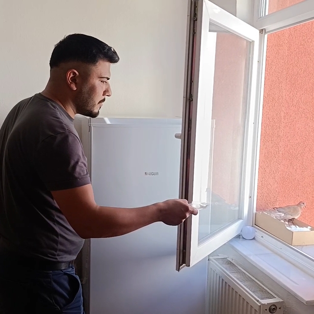 Evinin penceresine yuva yapan kumruya gözü gibi bakıyor