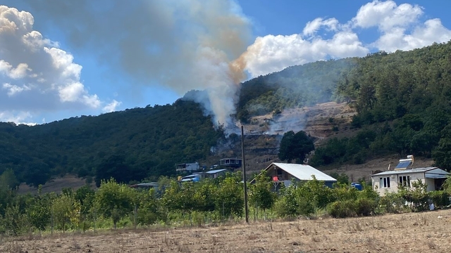 Kestel'de tarım arazisinde başlayan yangın ormana sıçradı
Bursa Orman Bölge ve Büyükşehir İtfaiye ekipleri seferber oldu