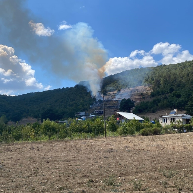 Kestel'de tarım arazisinde başlayan yangın ormana sıçradı
Bursa Orman Bölge...