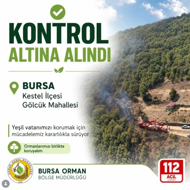 Bursa'da orman yangını (2)