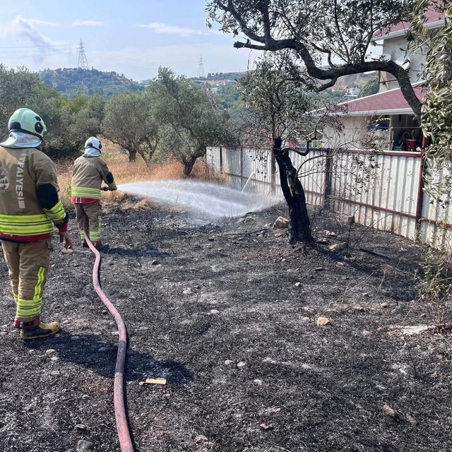 Defne'de zeytinlik alanda yangın yaşandı