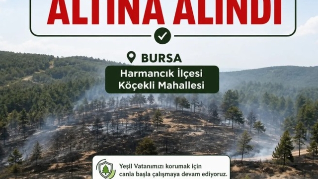 Bursa'da orman yangını (3)