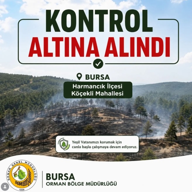 Bursa'da orman yangını (3)