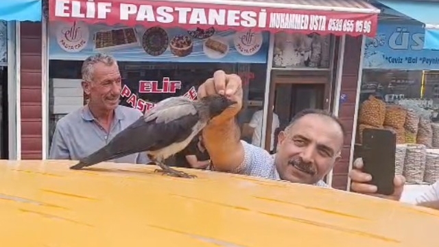 Adilcevaz'da kasap ile karga arasındaki sıra dışı dostluk gülümsetti