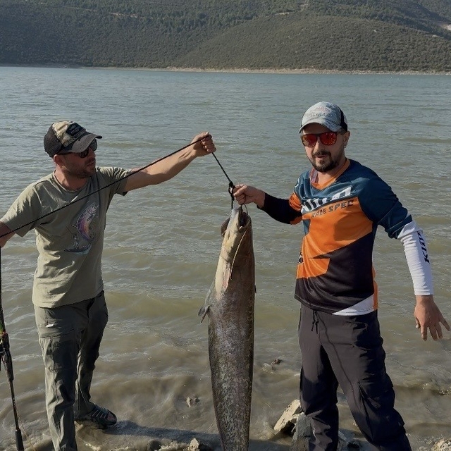 Turna avına çıkan balıkçıların oltasına 127 santimlik dev yayın takıldı