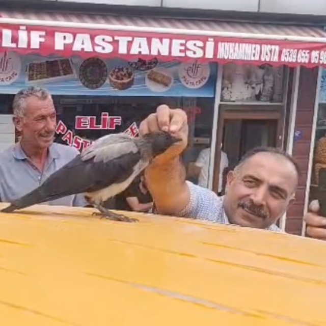 Adilcevaz'da kasap ile karga arasındaki sıra dışı dostluk gülümsetti