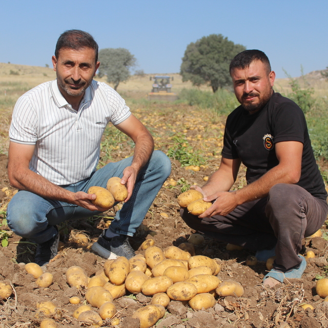Patatesin tarladaki kilo fiyatı 10, pazar ve marketlerde 40 lira