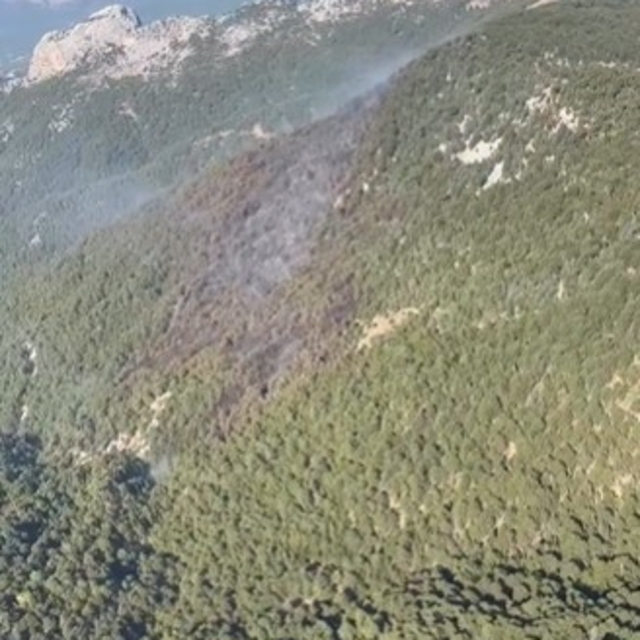 Manavgat'taki orman yangını kontrol altına alındı