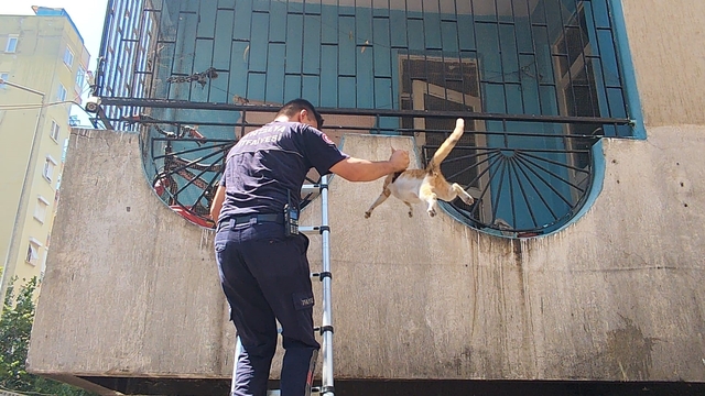 Yangından korkan hamile kediyi itfaiye kurtardı
Antalya'da 5 katlı apartmandaki boş dairede çıkan yangın korkuttu