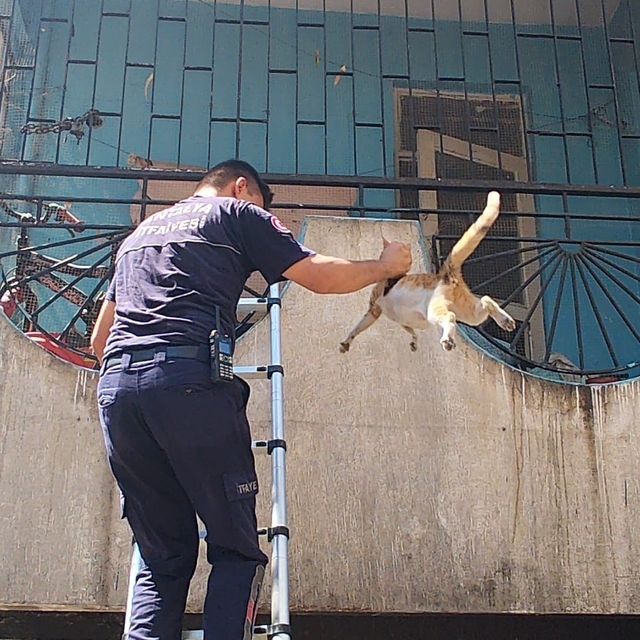 Yangından korkan hamile kediyi itfaiye kurtardı
Antalya'da 5 katlı apartman...
