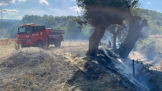 Kastamonu'da çıkan örtü yangını söndürüldü