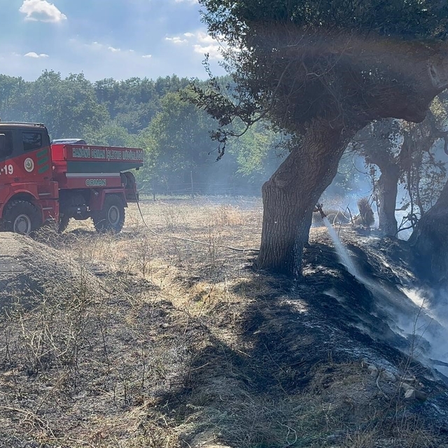Kastamonu'da çıkan örtü yangını söndürüldü