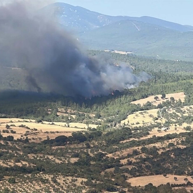 Çanakkale'de orman yangını (2)