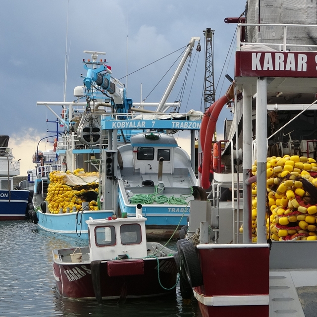Trabzon'da balıkçıların deniz mesaisi başlıyor