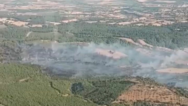 Çanakkale'de orman yangını (3)
