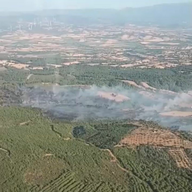Çanakkale'de orman yangını (3)