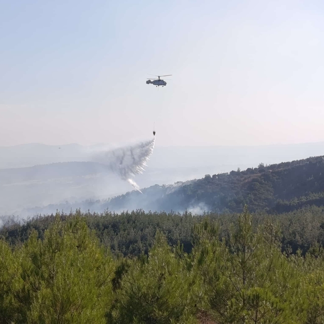 Bayramiç'teki orman yangını büyük ölçüde kontrol altında